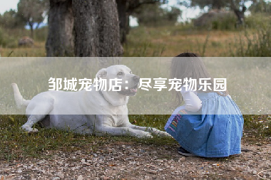 邹城宠物店：尽享宠物乐园