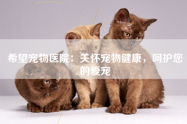 希望宠物医院：关怀宠物健康，呵护您的爱宠