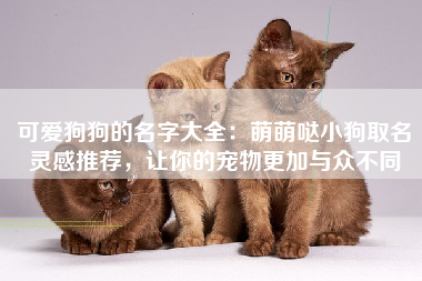 可爱狗狗的名字大全：萌萌哒小狗取名灵感推荐，让你的宠物更加与众不同