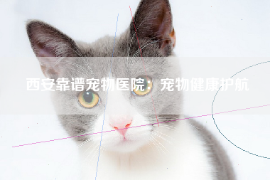 西安靠谱宠物医院：宠物健康护航