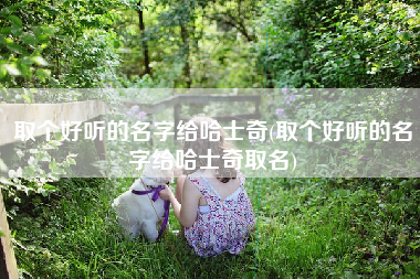 取个好听的名字给哈士奇(取个好听的名字给哈士奇取名)