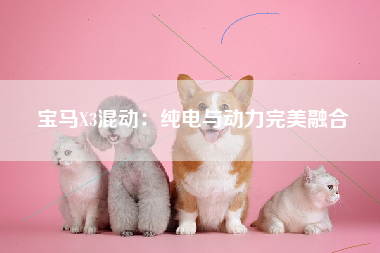 宝马X3混动：纯电与动力完美融合