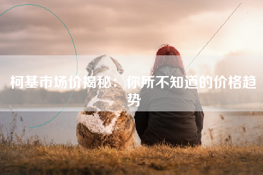 柯基市场价揭秘：你所不知道的价格趋势