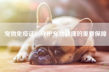 宠物免疫证：守护宠物健康的重要保障
