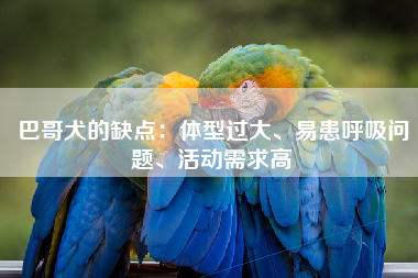 巴哥犬的缺点：体型过大、易患呼吸问题、活动需求高