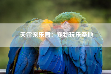 天雷宠乐园：宠物玩乐圣地