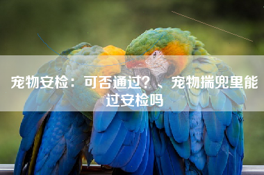 宠物安检：可否通过？、宠物揣兜里能过安检吗