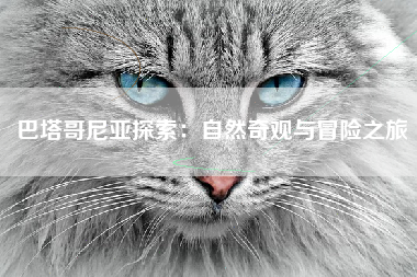 巴塔哥尼亚探索：自然奇观与冒险之旅