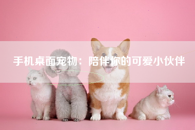 手机桌面宠物：陪伴你的可爱小伙伴