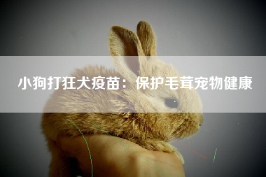 小狗打狂犬疫苗：保护毛茸宠物健康