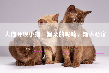 大猫呼唤小猫：温柔的呢喃，渐入心扉