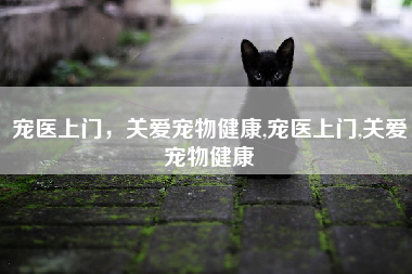 宠医上门，关爱宠物健康,宠医上门,关爱宠物健康