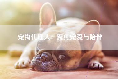 宠物代理人：聚焦宠爱与陪伴