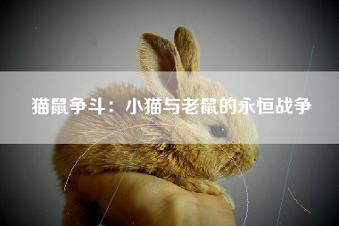猫鼠争斗：小猫与老鼠的永恒战争
