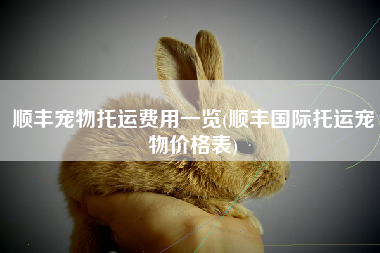 顺丰宠物托运费用一览(顺丰国际托运宠物价格表)