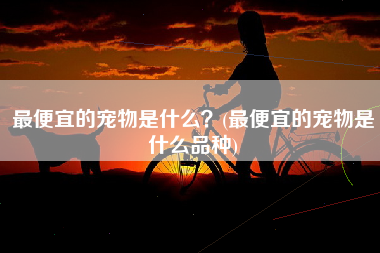 最便宜的宠物是什么？(最便宜的宠物是什么品种)