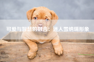可爱与智慧的融合：迷人雪纳瑞形象