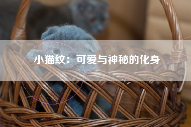 小猫纹：可爱与神秘的化身
