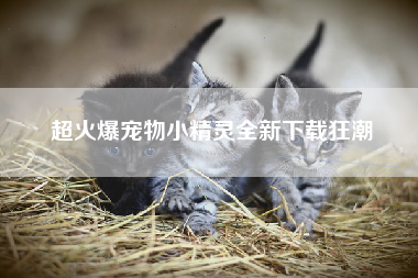 超火爆宠物小精灵全新下载狂潮