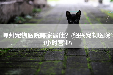 嵊州宠物医院哪家最佳？(绍兴宠物医院24小时营业)