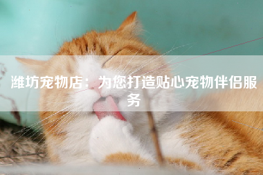 潍坊宠物店：为您打造贴心宠物伴侣服务