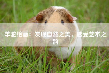 羊驼绘画：发现自然之美，感受艺术之韵