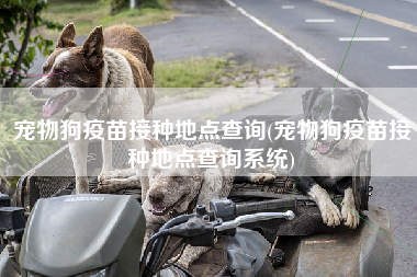宠物狗疫苗接种地点查询(宠物狗疫苗接种地点查询系统)
