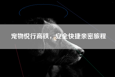 宠物悦行高铁，安全快捷亲密旅程