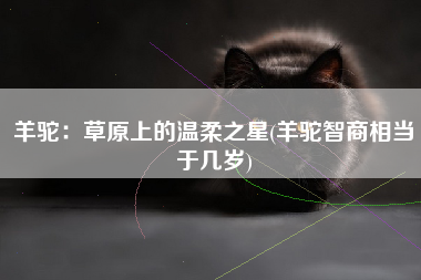 羊驼：草原上的温柔之星(羊驼智商相当于几岁)