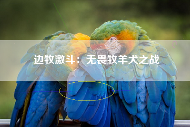 边牧激斗：无畏牧羊犬之战
