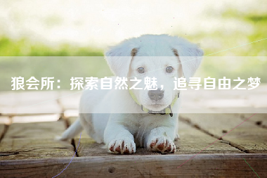 狼会所：探索自然之魅，追寻自由之梦