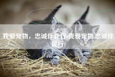 我爱宠物，忠诚伴我行(我爱宠物,忠诚伴我行)