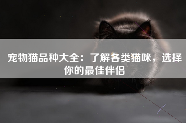 宠物猫品种大全：了解各类猫咪，选择你的最佳伴侣