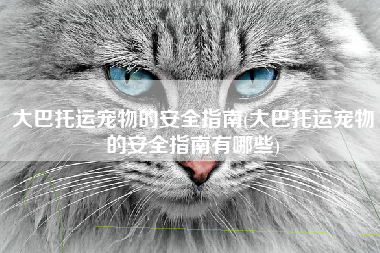 大巴托运宠物的安全指南(大巴托运宠物的安全指南有哪些)