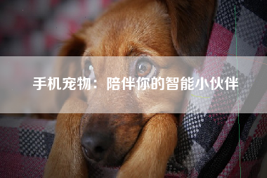 手机宠物：陪伴你的智能小伙伴