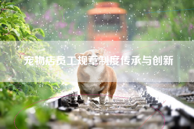 宠物店员工规章制度传承与创新