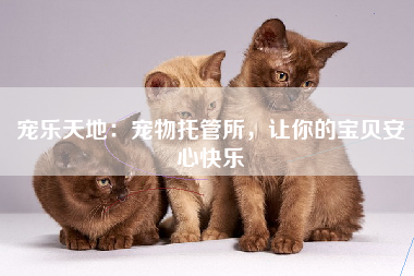 宠乐天地：宠物托管所，让你的宝贝安心快乐
