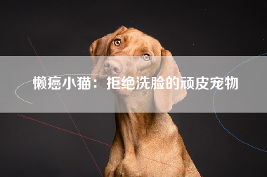 懒癌小猫：拒绝洗脸的顽皮宠物