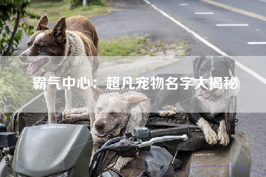 霸气中心：超凡宠物名字大揭秘