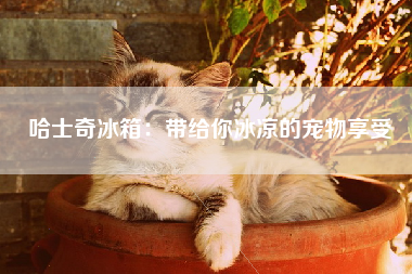 哈士奇冰箱：带给你冰凉的宠物享受