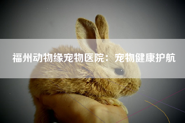 福州动物缘宠物医院：宠物健康护航