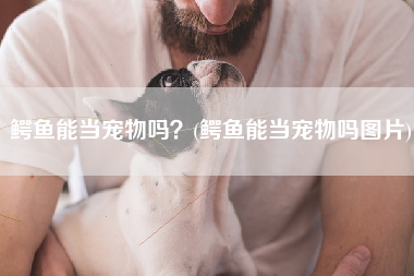 鳄鱼能当宠物吗？(鳄鱼能当宠物吗图片)