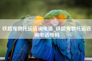 铁路宠物托运咨询电话_铁路宠物托运咨询电话号码