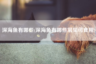 深海鱼有哪些(深海鱼有哪些常见可食用)