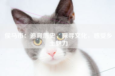 侯马市：追溯历史，探寻文化，感受乡土魅力