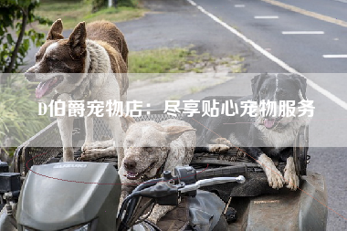 D伯爵宠物店：尽享贴心宠物服务