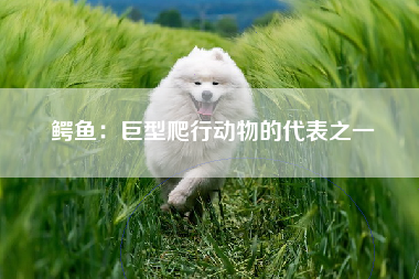 鳄鱼：巨型爬行动物的代表之一