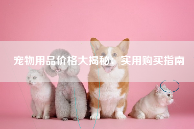 宠物用品价格大揭秘：实用购买指南