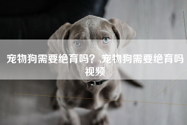 宠物狗需要绝育吗？,宠物狗需要绝育吗视频