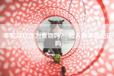 羊驼可以作为食物吗？-私人养羊驼犯法吗